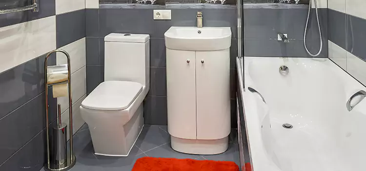 Hansgrohe Shaving Mirror Avenel